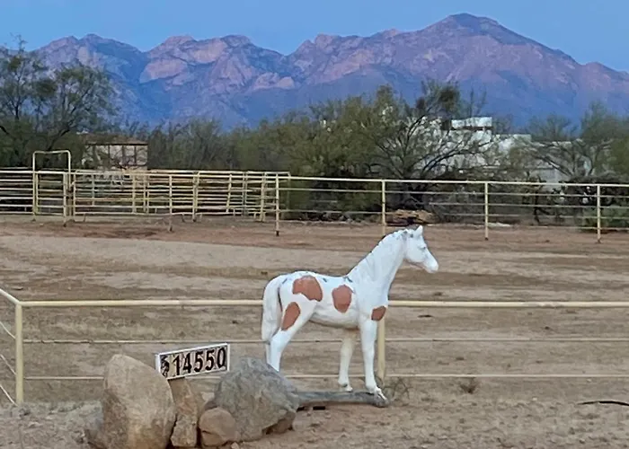 Holiday home Lazy H Bar Desert Outpost Ranch House With Pool And Hot Tub